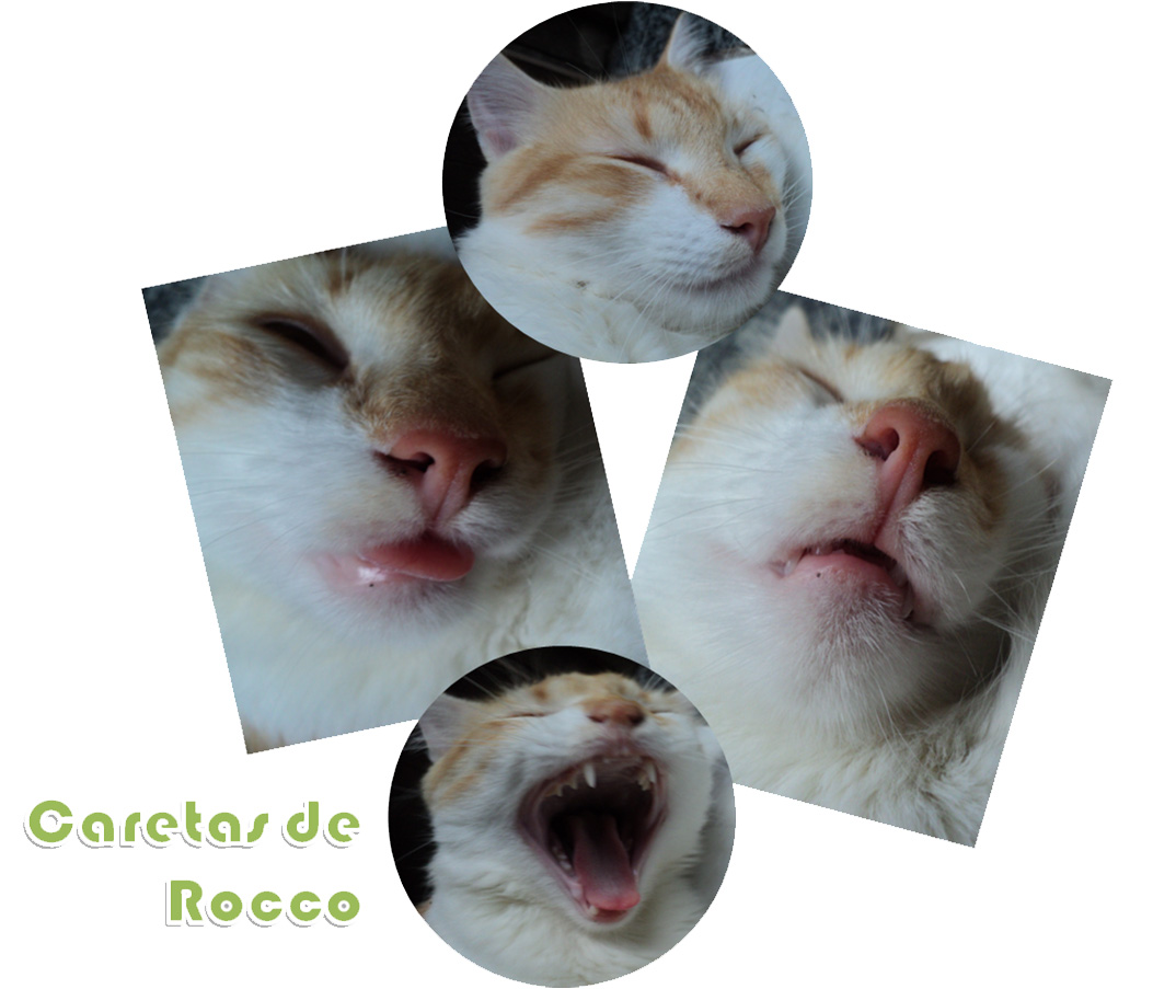 Caretas de Rocco.jpg Caretas de Rocco.jpg